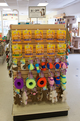 Pet Supply Store «Four Your Paws Only», reviews and photos, 1821 White Mountain Hwy, North Conway, NH 03860, USA