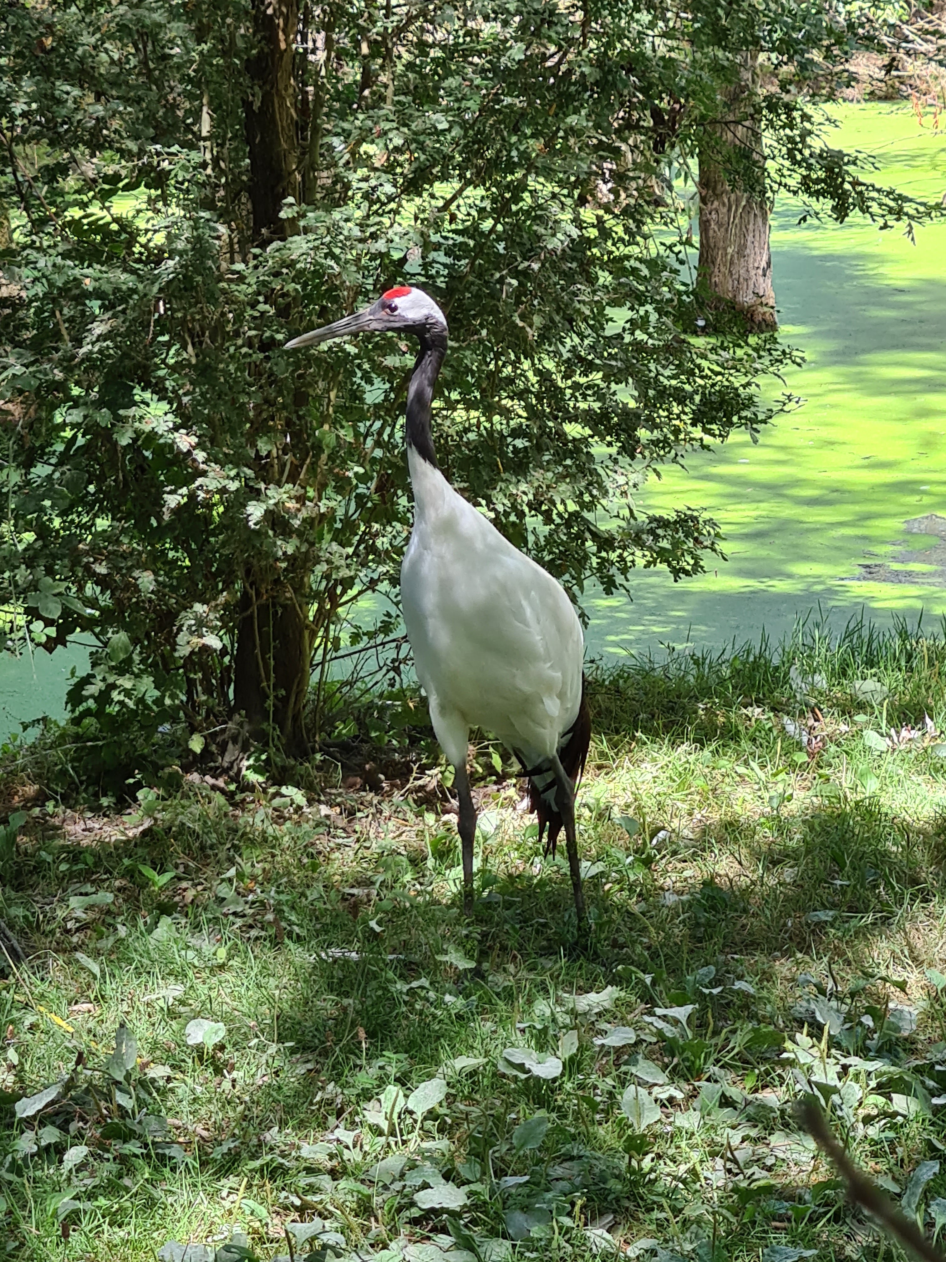Photo n° 25 de l'avis de Maïté.e fait le 05/08/2022 à 13:57