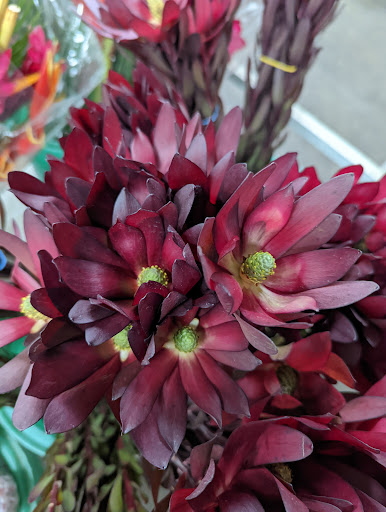 Florist «Norfolk Wholesale Floral», reviews and photos, 601 E Brambleton Ave, Norfolk, VA 23510, USA