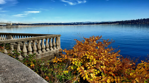 Lake Washington