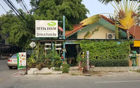 Betta House image