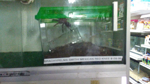 Tropical Fish Store «Midway Tropical Fish & Pets», reviews and photos, 24101 Pacific Hwy S, Kent, WA 98032, USA