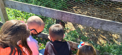 Animal Rescue Service «Ray of Light Farm Inc», reviews and photos, 232 Town St, East Haddam, CT 06423, USA