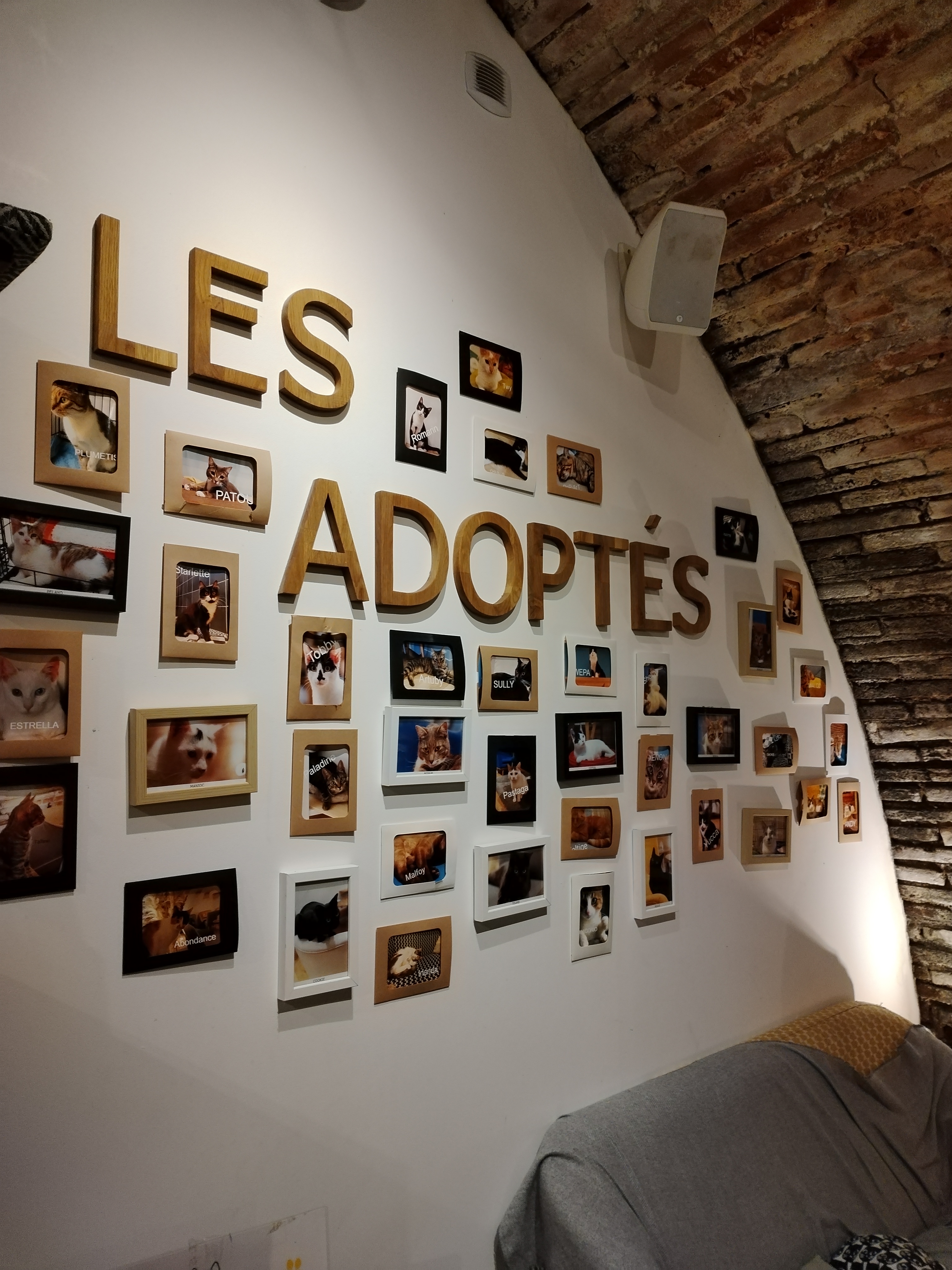 Photo n° 4 de l'avis de Trifina.A fait le 18/11/2023 à 17:52