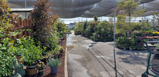 Hardware Store «Payless Hardware, Rockery and Nursery», reviews and photos, 2927 King Rd, San Jose, CA 95122, USA