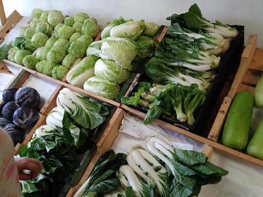 Grocery Store «Puzyckis market», reviews and photos, 15690-15698 Bedford Cir W, Clearwater, FL 33764, USA