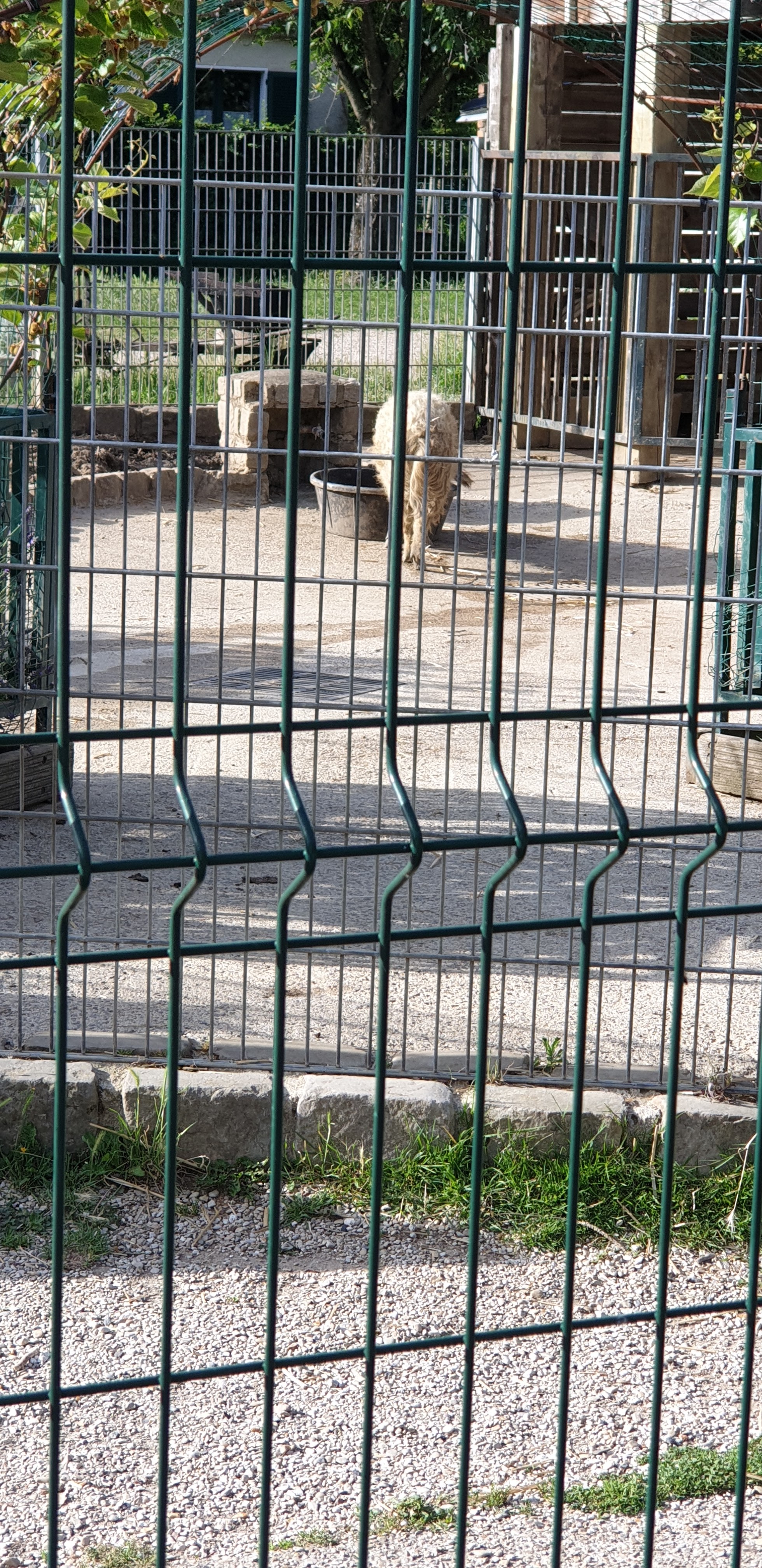 Photo n° 4 de l'avis de Dena.e fait le 02/07/2022 à 17:52