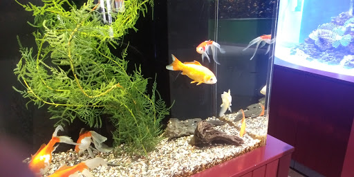 Aquarium «Great Lakes Aquarium», reviews and photos, 353 Harbor Dr, Duluth, MN 55802, USA