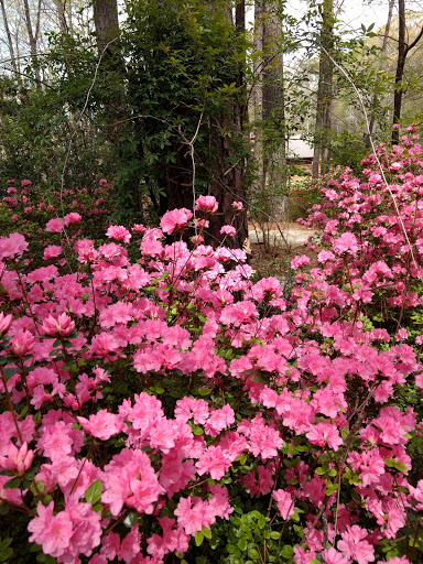 Non-Profit Organization «Dauset Trails Nature Center», reviews and photos, 360 Mt Vernon Church Rd, Jackson, GA 30233, USA