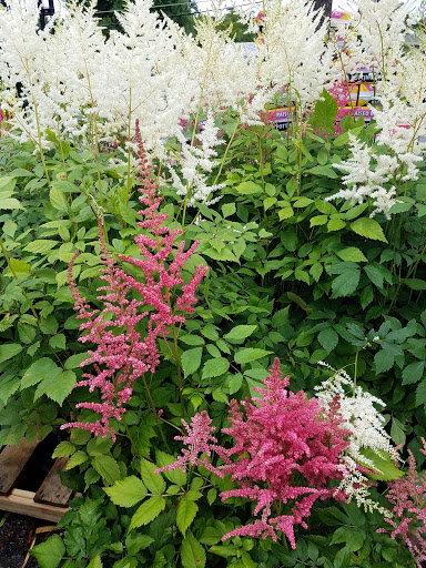 Home Improvement Store «The Home Depot», reviews and photos, 6001 Madison Ave, Carmichael, CA 95608, USA