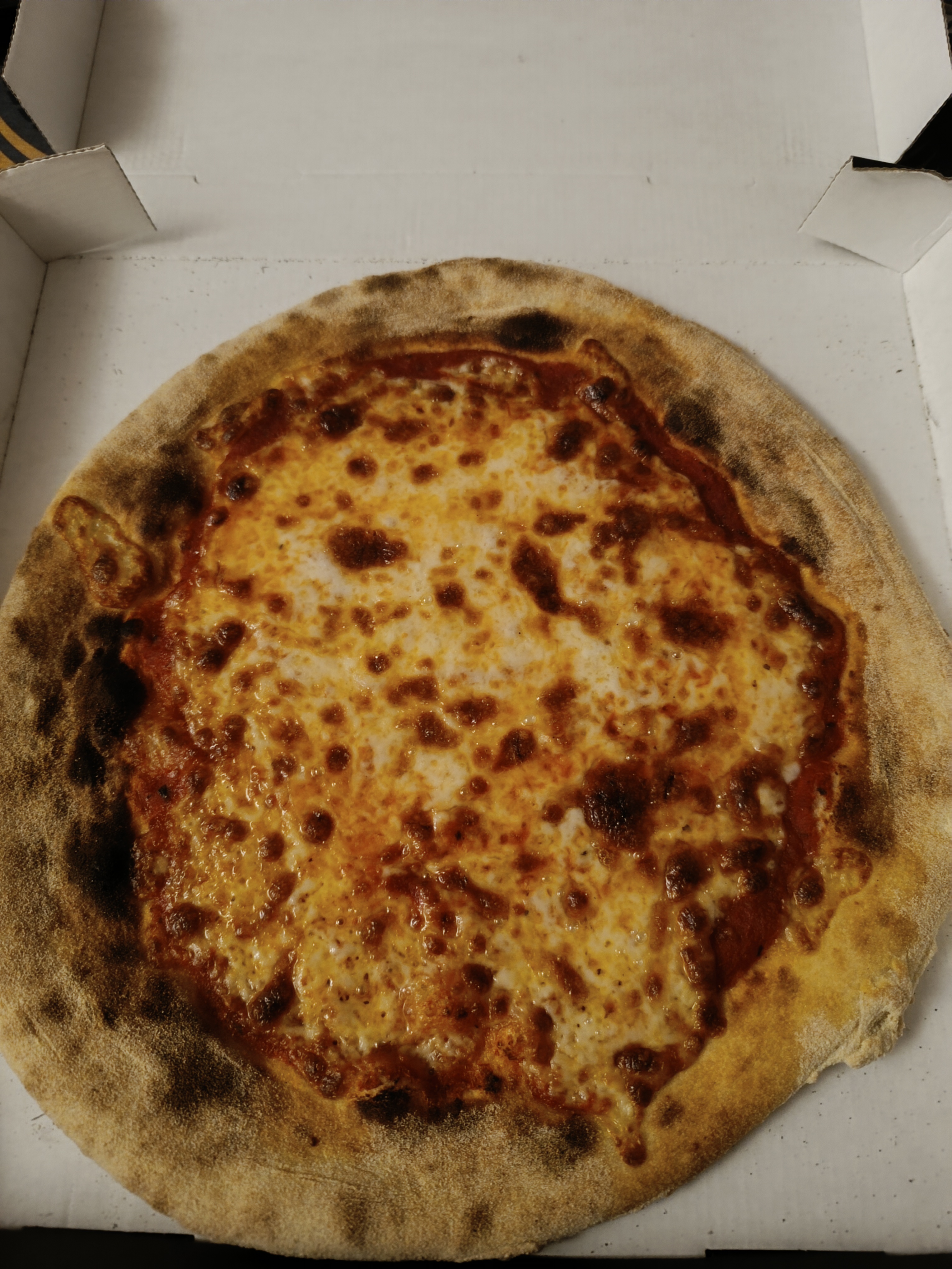 Photo n° 1 de l'avis de Malo.' fait le 06/11/2023 à 15:14