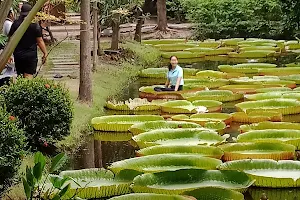 Suan Malai Victoria Water Lily Agrotourism image