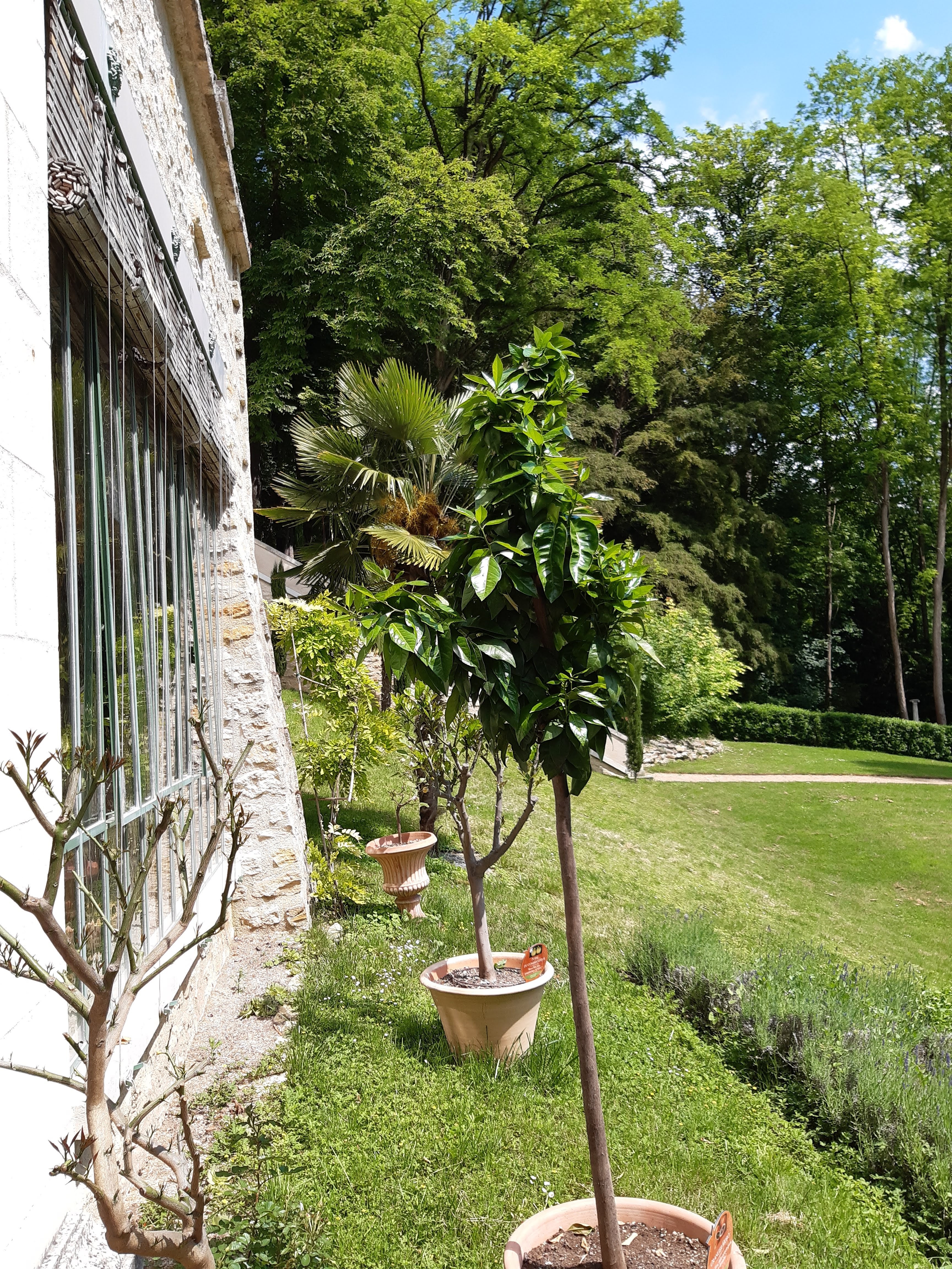 Photo n° 16 de l'avis de Patrice.a fait le 13/06/2021 à 16:03