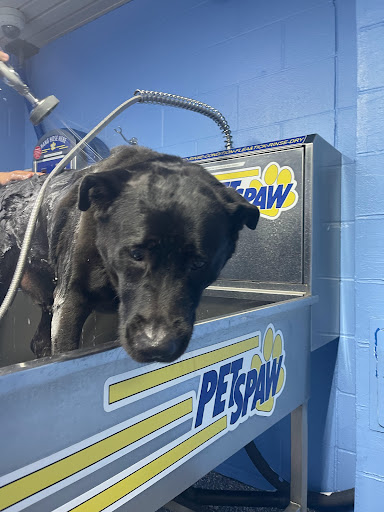 Car Wash «Quick Clean Car & Pet Wash Store, Ltd.», reviews and photos, 2500 Mayfair Rd, Akron, OH 44312, USA