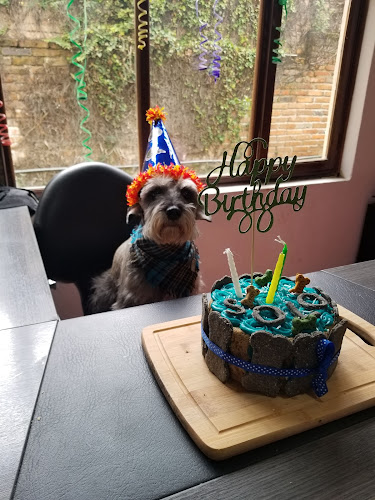 CAT DOG VETERINARIA & SPA - Cuenca