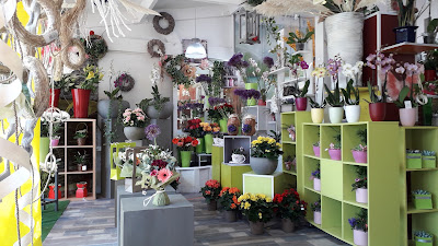 Fleurs De Lys à Friville-Escarbotin