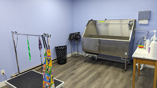 Vicki's Dapper Dog Salon