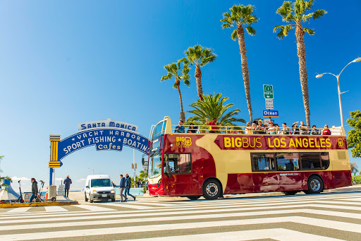 Sightseeing Tours in Los Angeles
