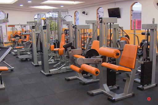 Logo da empresa - Academia Orange Fit