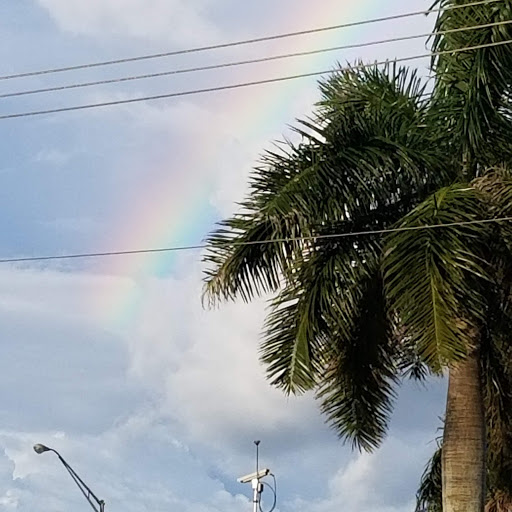 Park «Mc Tyre Park», reviews and photos, 3501 SW 56th Ave, West Park, FL 33023, USA