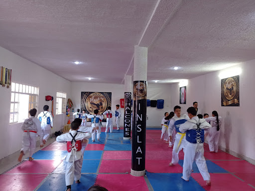 Escuela de taekwondo Inslat Halcones