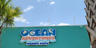 Ocean Adventures Marine Park