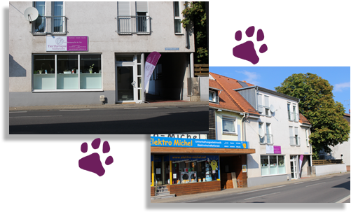 Tiertherapie Südhessen unter Griesheim, 