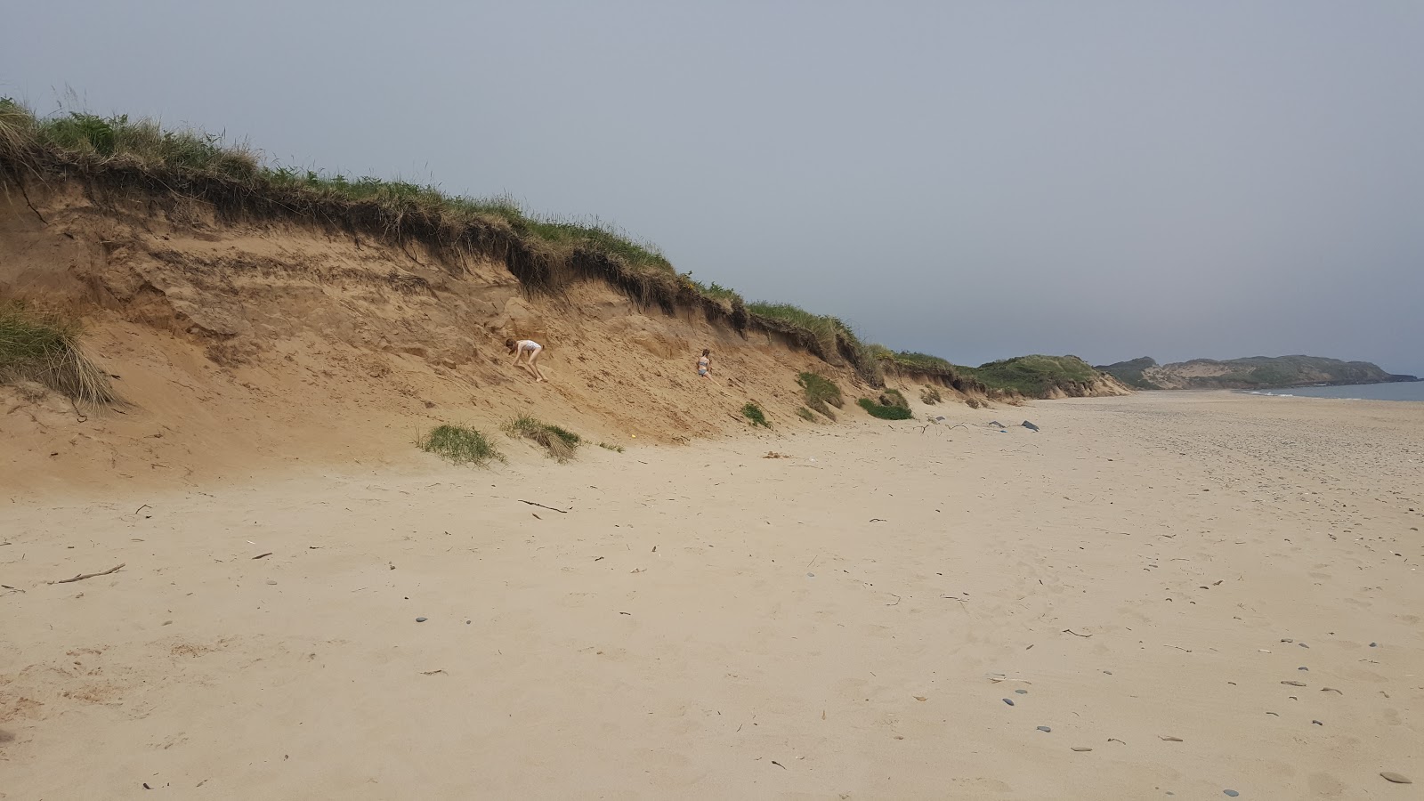 Photo of Kilpatrick Beach wild area