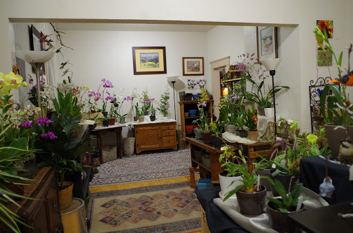 Florist «Island Orchids», reviews and photos, 2204 W Colorado Ave, Colorado Springs, CO 80904, USA