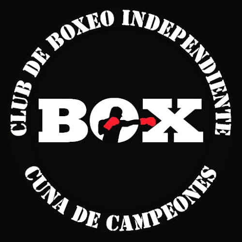 Opiniones de Lobos Boxing Gym ( Club Independiente) en Talca - Gimnasio