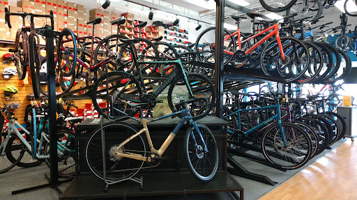 Bicycle Store «All Star Bike Shops Cary», reviews and photos, 1241 Kildaire Farm Rd, Cary, NC 27511, USA