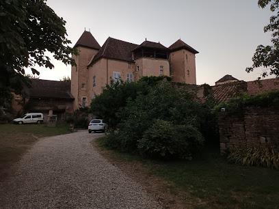 Château de Besanceuil