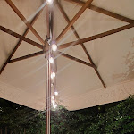 Photo n°4 de l'avis de Cat.r fait le 03/07/2022 à 16:57 sur le  ZENZERO E CANNELLA à Bientina