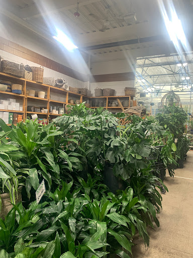 Florist «Metropolitan Plant & Flower Exchange Inc.», reviews and photos, 2125 Fletcher Ave, Fort Lee, NJ 07024, USA