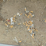 Photo n°2 de l'avis de Martine.e fait le 25/08/2022 à 07:47 sur le  Cheerfulway Acqua Maris Balaia à Albufeira