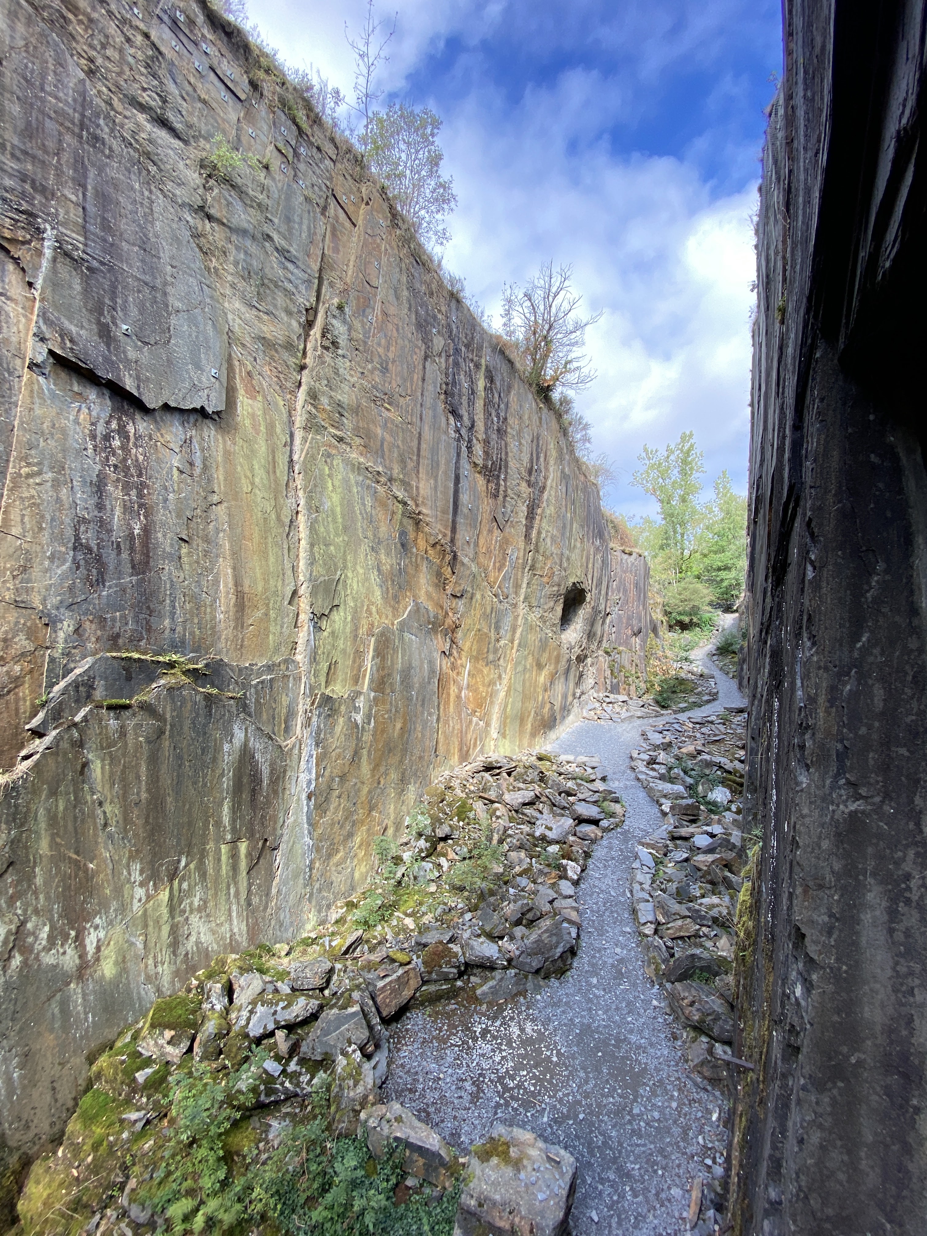 Photo n° 22 de l'avis de Vaingnedroye.a fait le 30/08/2020 à 16:39