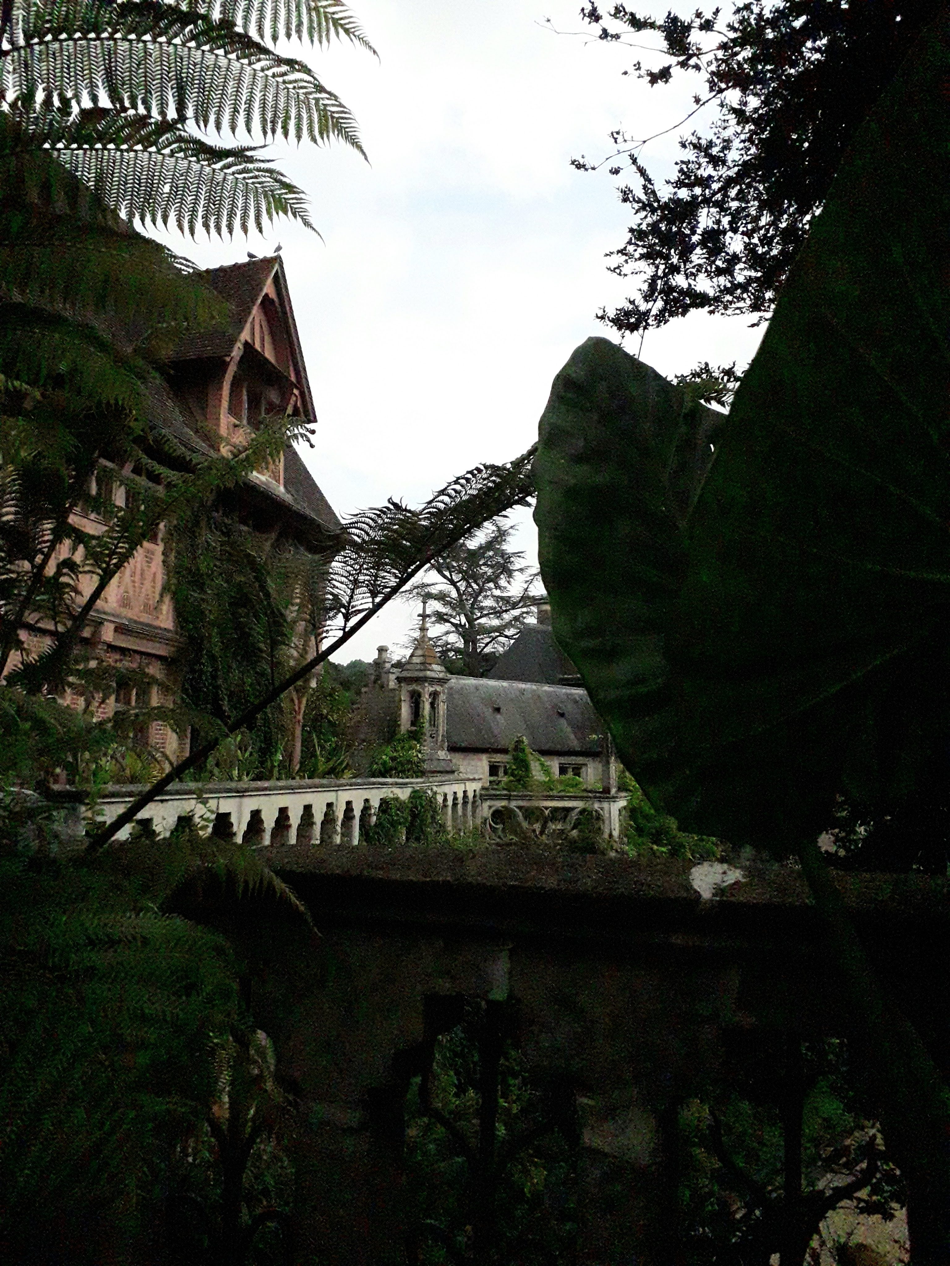 Photo n° 20 de l'avis de Le.o fait le 22/07/2022 à 15:09