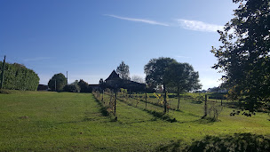 Photo n°51 de Hotel Manoir du Grand Vignoble à Eyraud-Crempse-Maurens ()