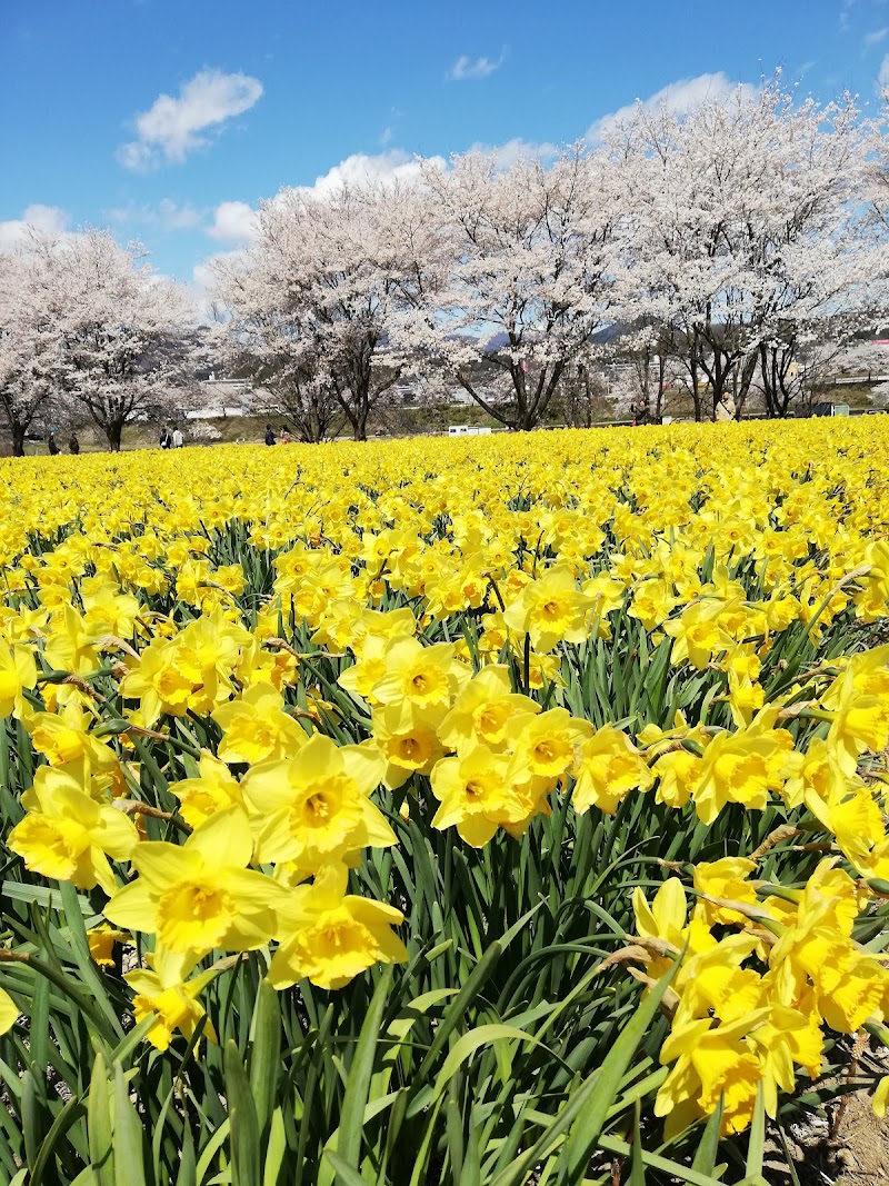 岩井親水公園 群馬県東吾妻町 公園 公園 グルコミ