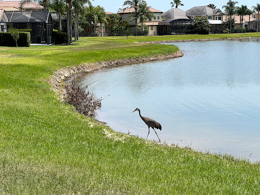 Golf Club «Eagle Creek Golf Community», reviews and photos, 10350 Emerson Lake Blvd, Orlando, FL 32832, USA