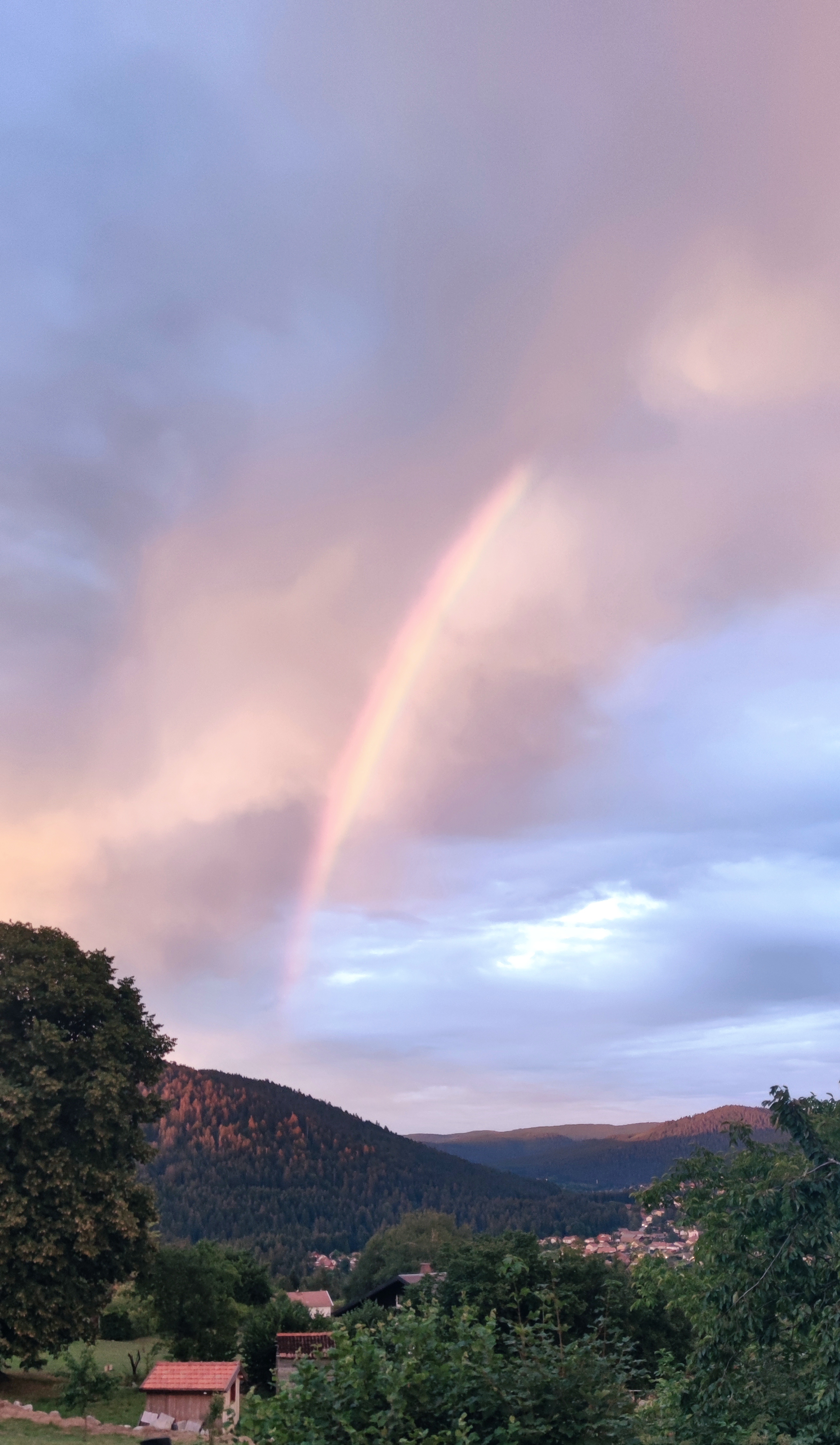 Photo n° 4 de l'avis de vincent.o fait le 16/07/2022 à 17:10