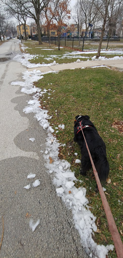 Park «Pasteur Park», reviews and photos, 5825 S Kostner Ave, Chicago, IL 60629, USA