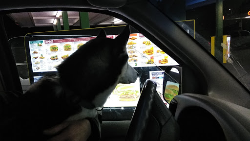 Fast Food Restaurant «Sonic Drive-In», reviews and photos, 3555 Tom Austin Hwy, Springfield, TN 37172, USA