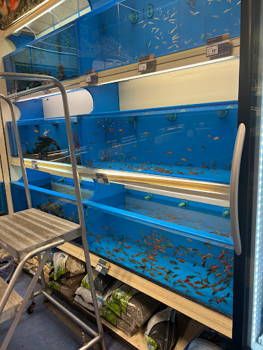 Pet Supply Store «PetSmart», reviews and photos, 1801 Howell Mill Rd NW, Atlanta, GA 30318, USA