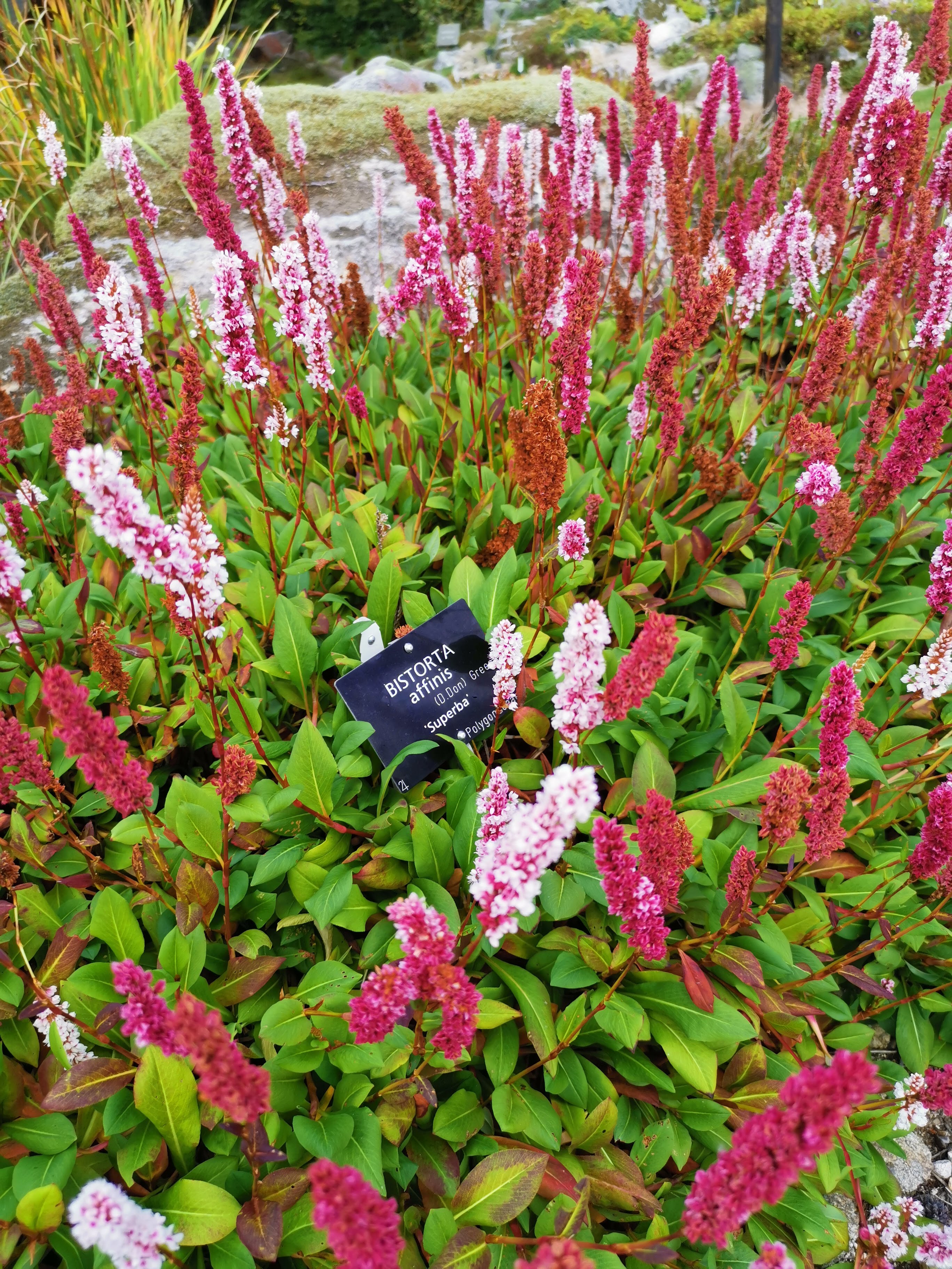 Photo n° 2 de l'avis de Marie.e fait le 03/10/2023 à 06:05