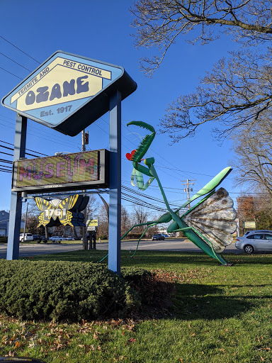 Museum «Insectropolis», reviews and photos, 1761 U.S. 9, Toms River, NJ 08755, USA