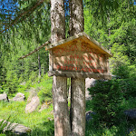 Photo n°4 de l'avis de Elisa.a fait le 08/08/2023 à 14:58 sur le  Malga Sadole à Ziano di Fiemme