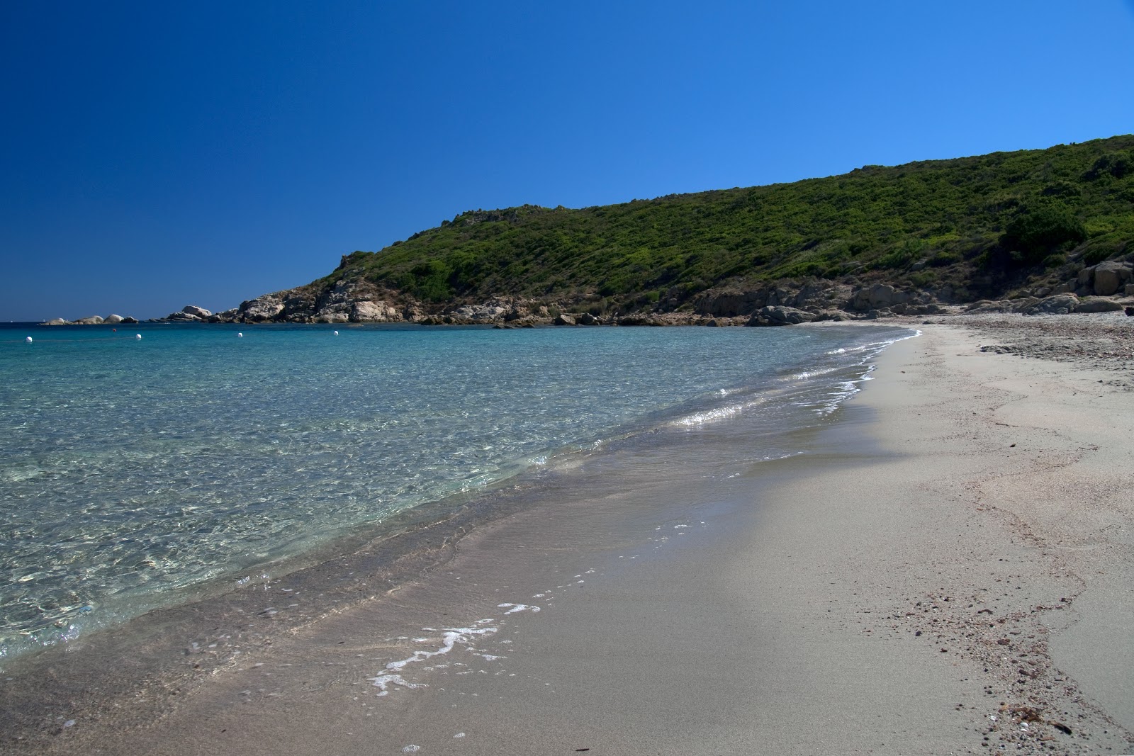 Spiaggia La Balcaccia'in fotoğrafı vahşi alan