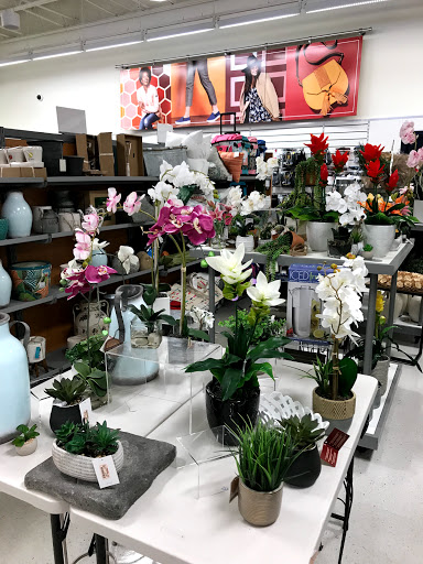 Department Store «T.J. Maxx», reviews and photos, 12163 Biscayne Blvd, North Miami, FL 33181, USA