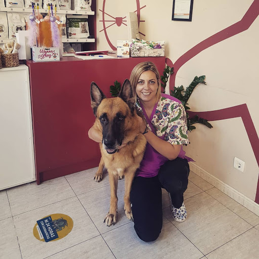 Centro Veterinario del Delta A Sant Carles de La Rapita-berta Sotoca en La Ràpita